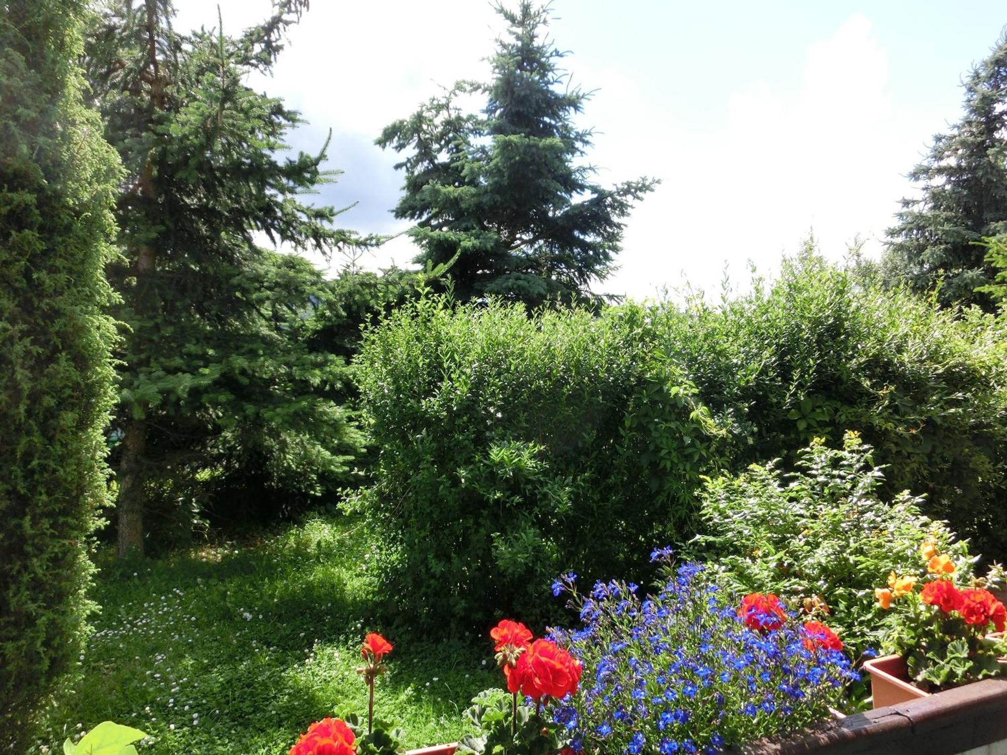Holiday Home In Cattenstedt Harz With Garden Екстериор снимка
