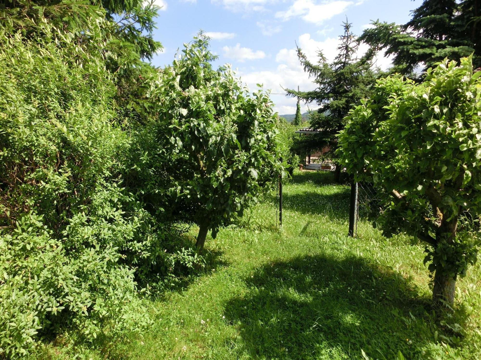 Holiday Home In Cattenstedt Harz With Garden Екстериор снимка